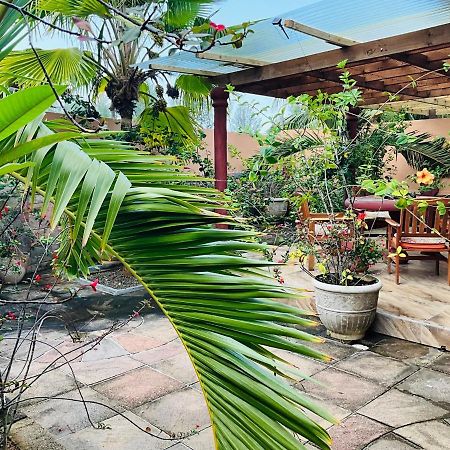 Effie Mountain View Coco Villa Misere Extérieur photo